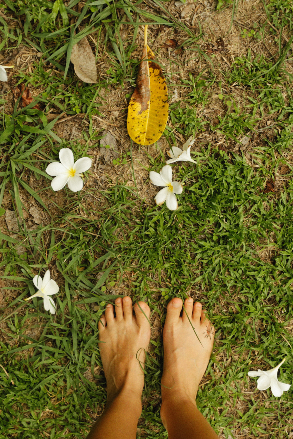 Mood, Motivation & Beauty: How to Hack Your Dopamine Naturally